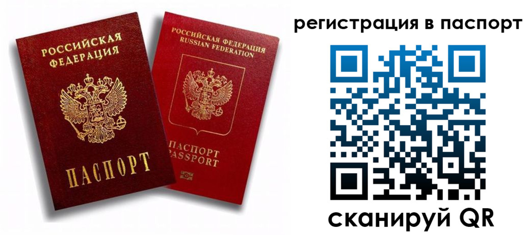 прописка 2025 в Ленинградской области